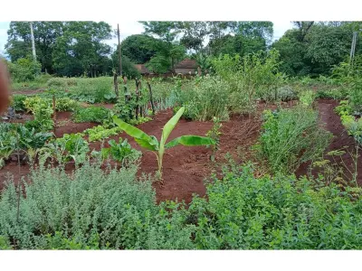 Terreno en venta en Capitán Miranda, Itapúa 4