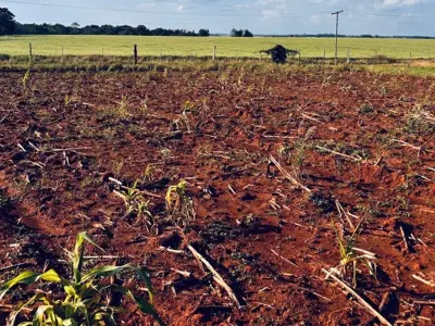 Terreno en venta en Carmen del Paraná, Itapúa 3