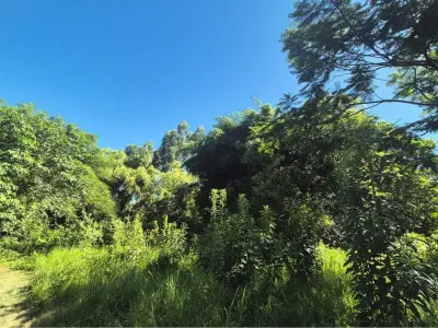 Terreno à venda no Casco Urbano, Capiatá 4