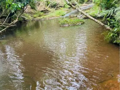Terreno à venda em Chololo, Escobar, Paraguarí 3