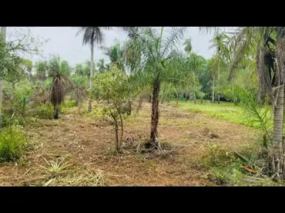 Terreno à venda em Chololo, Escobar, Paraguarí 4