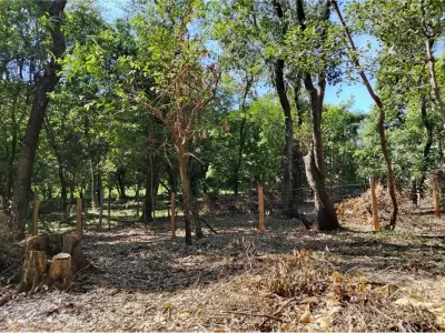 Terreno à venda em Ciervo Cuá, San Bernardino 2