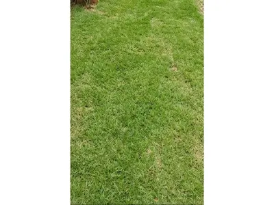 Terreno en venta en Ciudad del Este, Alto Paraná 5