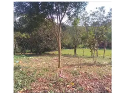 Terreno à venda em Ciudad del Este, bairro 23 de Outubro 2