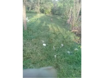 Terreno à venda em Ciudad del Este, bairro 23 de Outubro 4