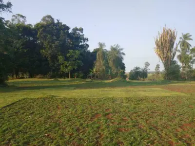 Terreno à venda em Colonia Acaray, Hernandarias, Alto Paraná 2