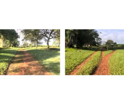 Terreno à venda em Colonia Pirareta, Piribebuy – 112.700 m² 4
