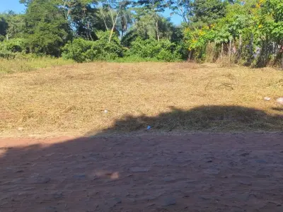 Terreno à venda em Colonia Thompson, Ypané 4
