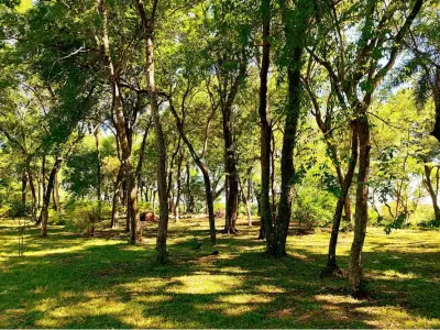 Terreno à venda em condomínio fechado Casa del Monte, Atyrá 4