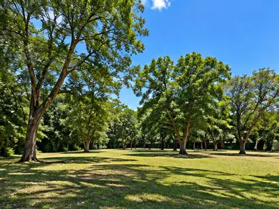 Land for sale in Condominio Costa Alta, Villa Elisa 3