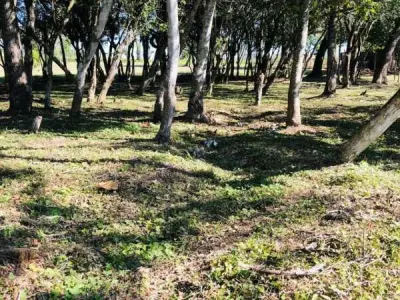 Terreno à venda em Coronel Oviedo, Caaguazú 4
