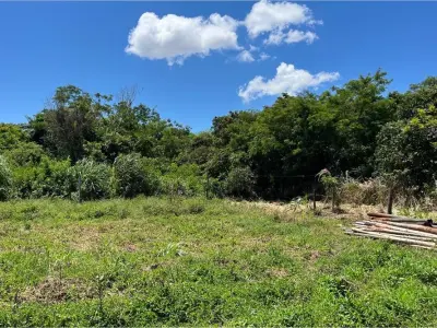 Terreno à venda em Coronel Oviedo, Caaguazú 3