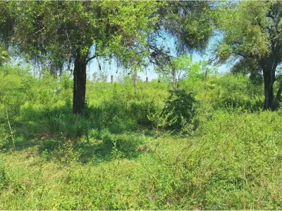 Terreno à venda em Costa Azul, Limpio, 360 m² 4