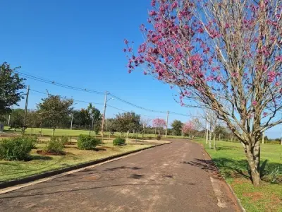 Terreno à venda em Costa del Lago, Hernandarias 4