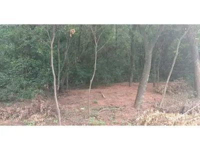 Land for sale in Costa Pacú, Caacupé 2