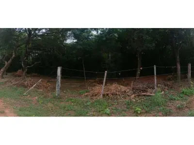 Land for sale in Costa Pacú, Caacupé 3