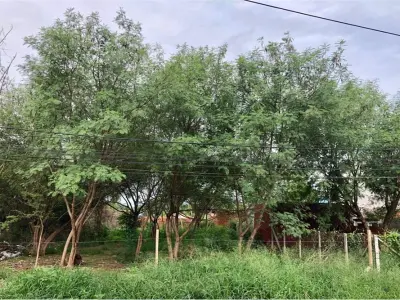 Terreno à venda em Defensores del Chaco, Mariano Roque Alonso 2