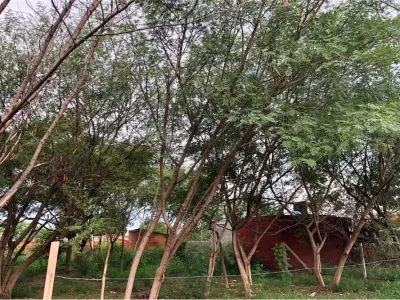 Terreno à venda em Defensores del Chaco, Mariano Roque Alonso 3