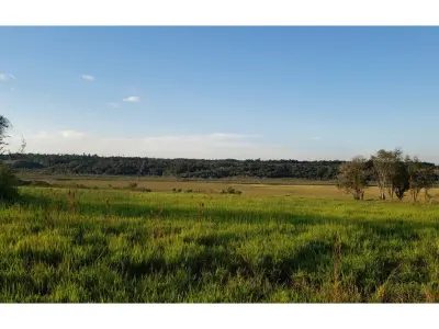 Terreno en venta en Doctor Juan Manuel Frutos, Caaguazú 2