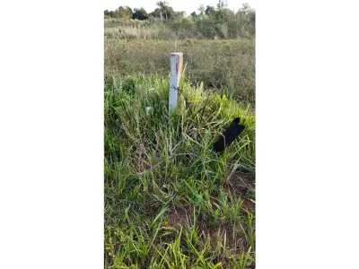 Terreno en venta en Doctor Juan Manuel Frutos, Caaguazú 3