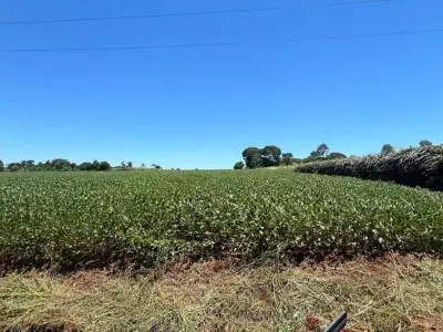 Terreno en venta en Edelira, Itapúa 3