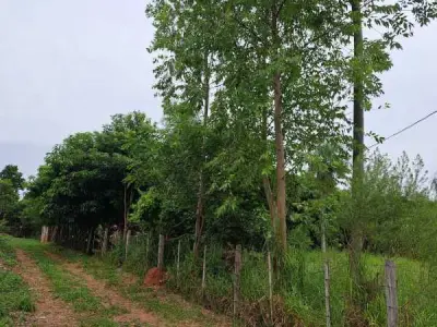 Terreno en venta en el casco urbano de Yaguarón, Paraguarí 3