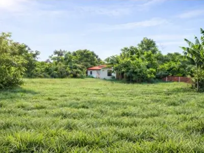 Terreno à venda em El Peñón, Limpio, Central 3