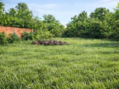 Terreno à venda em El Peñón, Limpio, Central 5