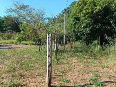 Terreno à venda em Emboscada, Cordillera 4