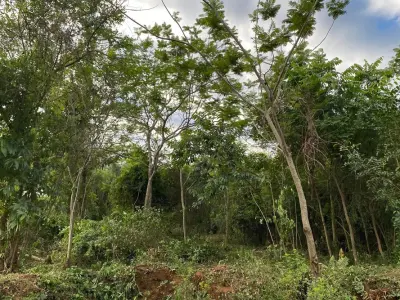 Land for sale in Emboscada, Cordillera 2