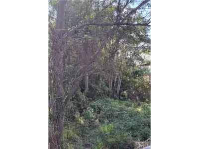 Land for sale in Encarnación, Itapúa 4