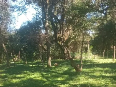 Land for sale in Encarnación, Itapúa 2
