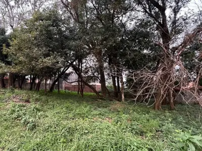 Terreno à venda em esquina no Barrio Santa María, Encarnação 3