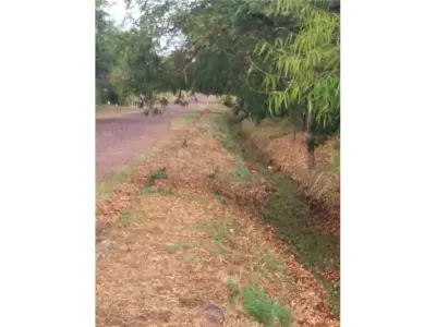 Terreno en venta en esquina en San Cosme y Damián 3