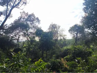 Terreno en venta en Eusebio Ayala, Cordillera 3