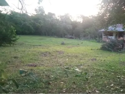 Terreno à venda em Eusebio Ayala, Cordillera 4