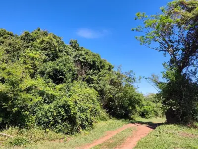 Terreno en venta en Eusebio Ayala, Cordillera 3
