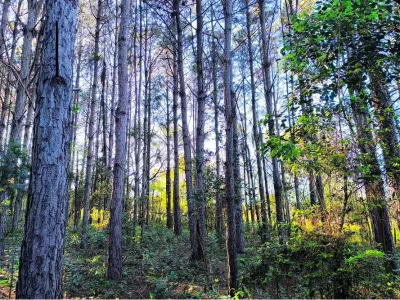 Terreno à venda em Eusebio Ayala, Cordillera 3