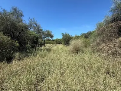 Terreno en venta en Filadelfia, Boquerón 3