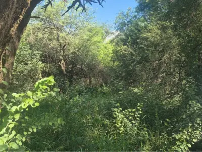 Terreno en venta en Filadelfia, Boquerón 2