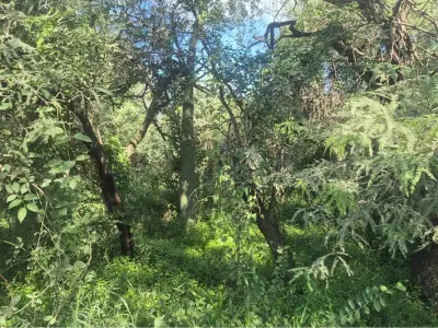 Terreno en venta en Filadelfia, Boquerón 3