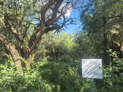 Terreno en venta en Filadelfia, Boquerón 4