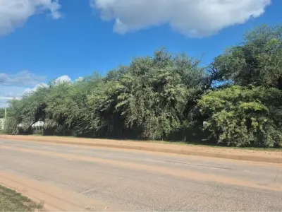 Terreno en venta en Filadelfia, Boquerón 2