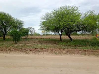Terreno en venta en Filadelfia, Boquerón 3