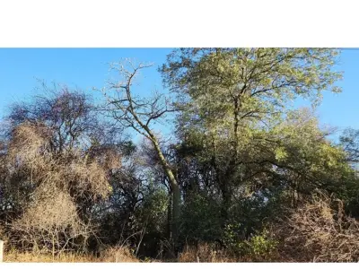 Terreno en venta en Filadelfia, Boquerón 2