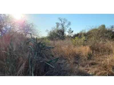 Terreno en venta en Filadelfia, Boquerón 4