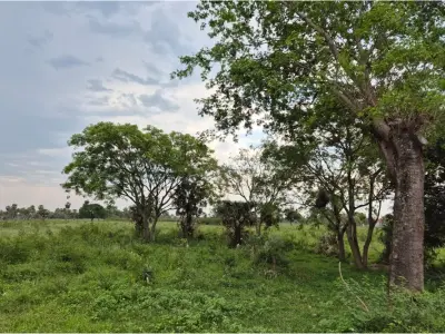 Terreno en venta en fracción Montepila Norte, Villa Hayes 2