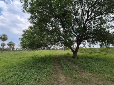 Terreno en venta en fracción Montepila Norte, Villa Hayes 4