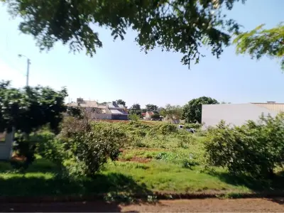 Land for sale in Fracción Shultz, Santa Rita 3