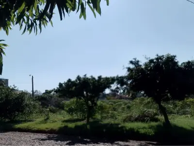 Land for sale in Fracción Shultz, Santa Rita 5